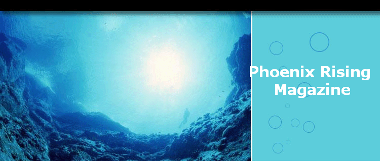     Phoenix Rising 
    Magazine